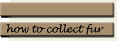 collecting fur